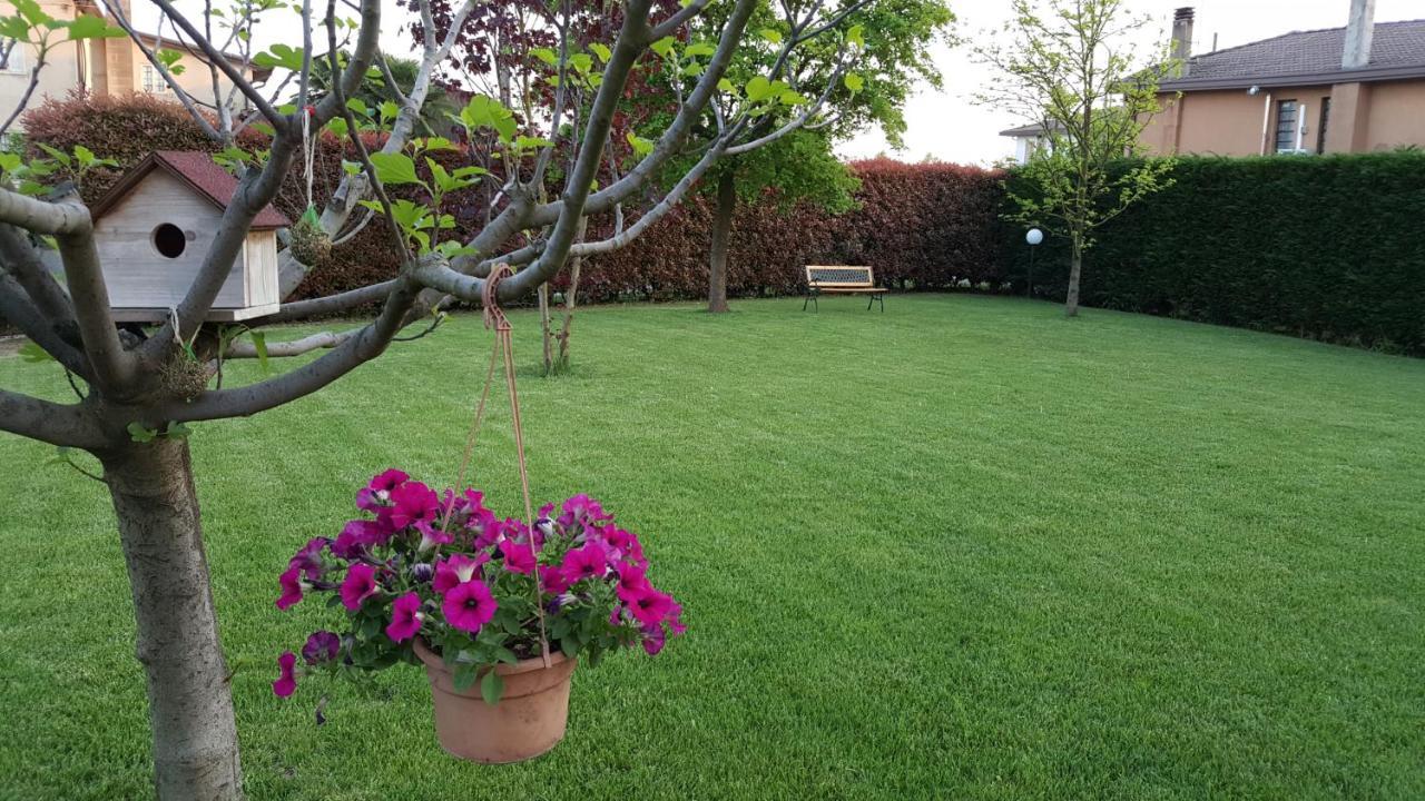 Bed and Breakfast Il Farfasole Vigonovo  Exteriér fotografie