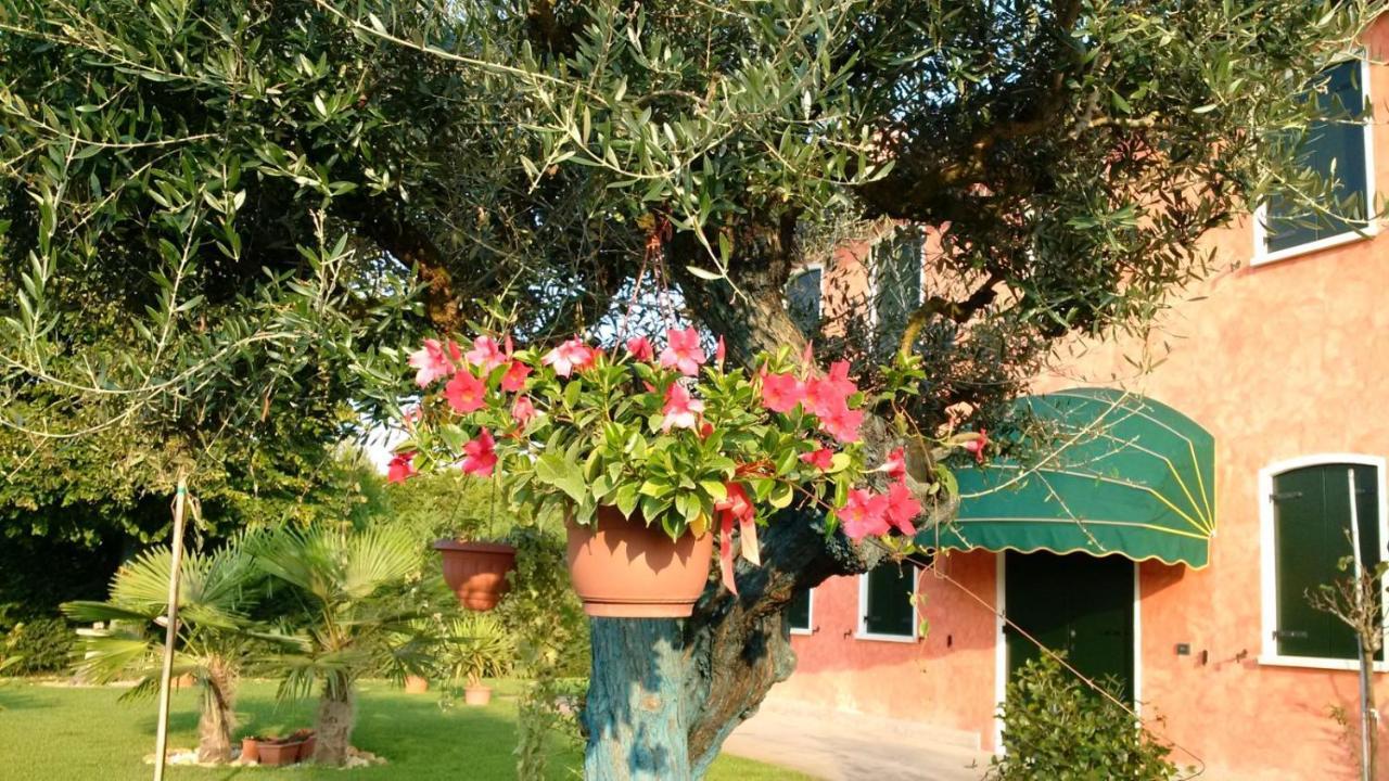 Bed and Breakfast Il Farfasole Vigonovo  Exteriér fotografie