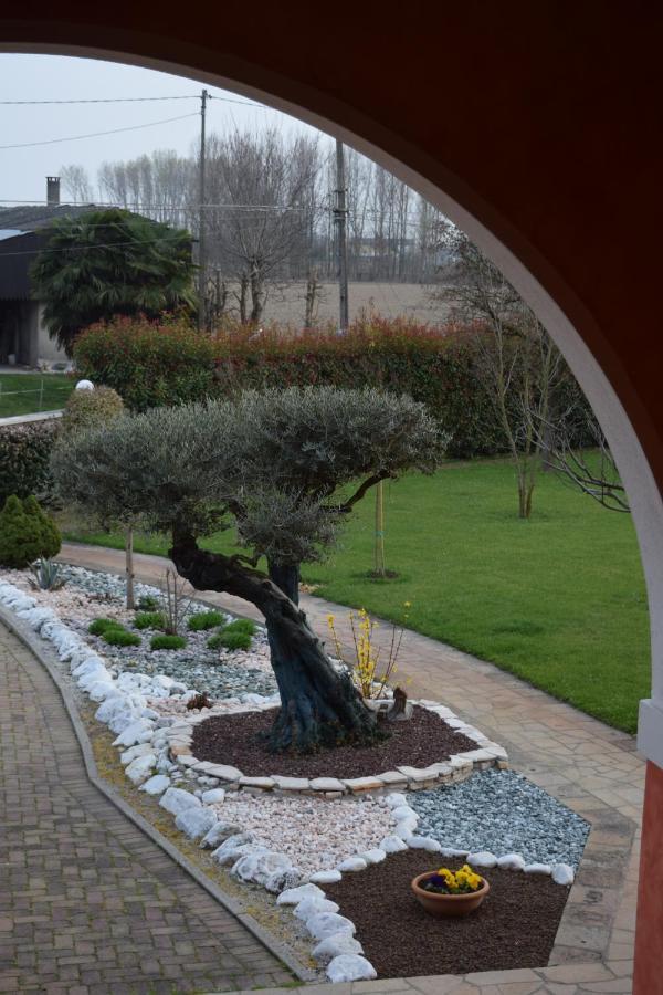 Bed and Breakfast Il Farfasole Vigonovo  Exteriér fotografie